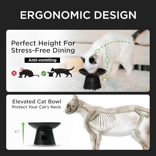 Necoichi BPA-Free Extra-Wide Elevated Cat Food Bowls, 2-Pack (Urban Fog) - Image 3