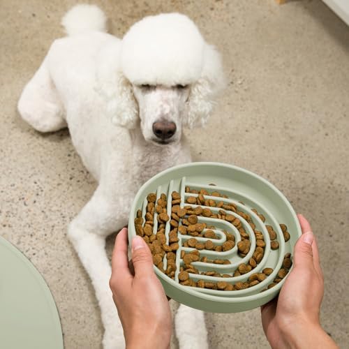 Slow Feeder Dog Bowl - Silicone Dog Bowl, Large, 9.5" x 1.5" - Sage - Image 5