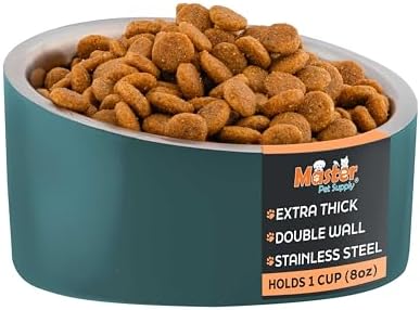 Master Pet Supply Stainless Steel Slanted Dog Cat Food Bowl 8 oz Emerald by MasterPetSupply
