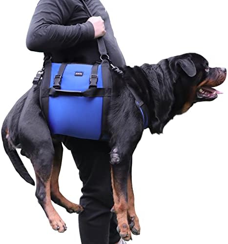Dog Carry Sling, Emergency Backpack Pet Legs Support & Rehabilitation Dog Lift Harness for Large Dogs, Dog Carrier for Senior Dogs Joint Injuries, Arthritis, Up and Down Stairs (Blue, XXL) by Kokoie