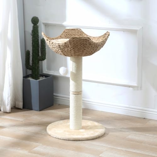 SHENGOCASE Small Cat Tree Tower with Large 17.7" Rattan Wicker Basket, Handwoven Nest Basket Bed, Window Perch for Large Cats up to 25LBS - Image 2