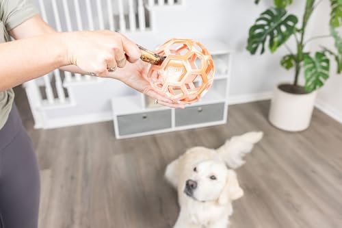 Chuckit! Holee Roller Dog Treat Puzzle Ball, Large (3"), Orange – Interactive Treat & Chew Puzzle Toy for Dogs 60–100 lb – Durable Rubber Fetch Ball for Mental Stimulation – Pack of 1 - Image 4