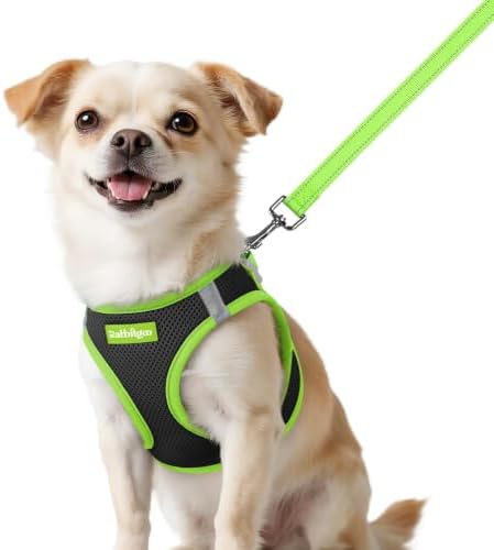 rabbitgoo Dog Harness Small Sized and Leash Set, Step in Soft Vest by rabbitgoo