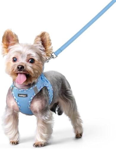 rabbitgoo Dog Harness Small Sized and Leash Set, Step-in Puppy Pet Vest by rabbitgoo