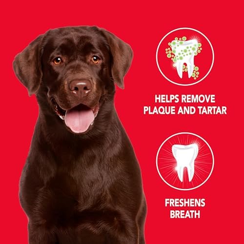 Petrodex Enzymatic Dog Toothpaste, Poultry Flavor, 6.2oz - Image 2