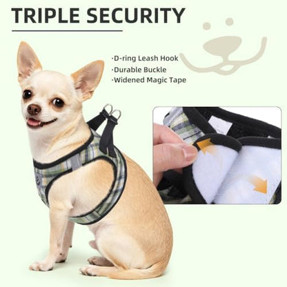 PUPTECK Dog Harness, Collar and Leash Set No Pull for Small Medium Sized - Image 5
