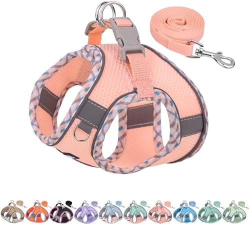 AIITLE Medium Dog Harness and Leash Set with Breathable Mesh, Pink M by AIITLE-FORPETSBETTERLIFE