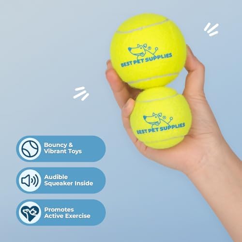Best Pet Supplies Interactive Squeaky Dog Chew Toy, Ideal Dog Toys for Chewers, Small, Medium & Large Dogs, and Fetch Lovers - Tennis (Yellow), Large (Pack of 4) - Image 2