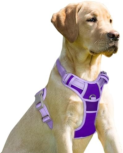 BARKBAY Dog Harness No Pull for Medium Sized Dog Front Back Clips,Dog Vest by BARKBAY
