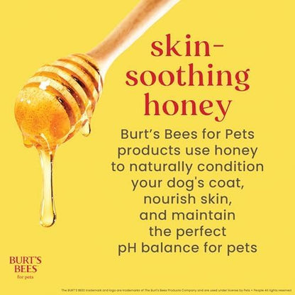 Burts Bees for Pets Waterless Shampoo Spray, with Apple & Honey, 10 Oz, 6Pk - Image 6