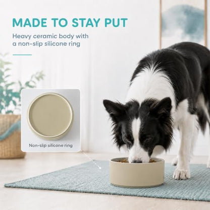 Havniva Ceramic Dog Bowls, 7.3” Dog Food and Water Bowl, Pet Feeding Bowl - Image 4