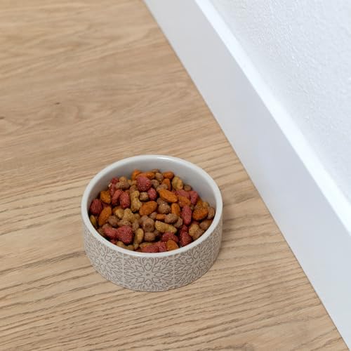 Fringe Studio Sevilla Tile Sand Small Ceramic Imprinted Pet Bowl (5" Diameter x 1.75" H, 12 fl.oz.), PetShop Collection (785SM001) - Image 3