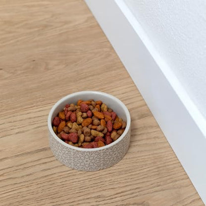 Fringe Studio Sevilla Tile Sand Small Ceramic Imprinted Pet Bowl (5" Diameter x 1.75" H, 12 fl.oz.), PetShop Collection (785SM001) - Image 3