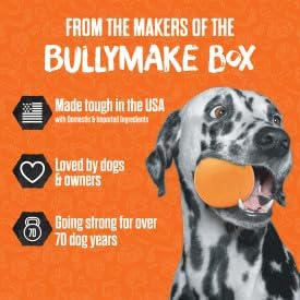 BullyMake Toss n' Treat Peanut Butter Flavored Ukelele Dog Chew Toy One Size