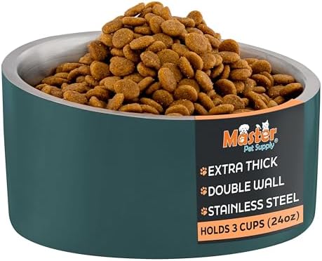 Master Pet Supply Stainless Steel Slanted Dog Cat Food Bowl 24 oz Emerald by MasterPetSupply