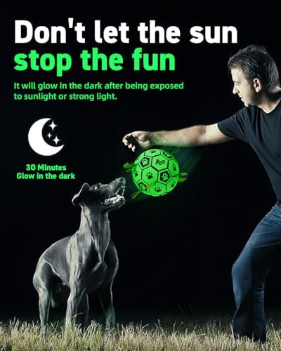 QDAN Glow in The Dark Dog Balls, Soccer Balls for Dogs with Straps, 8 Inch - Image 5