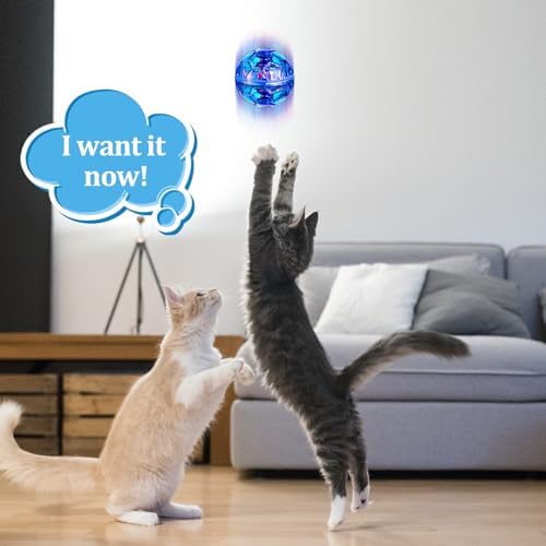 Sratte 2 Pcs Rechargeable Light up Cat Ball Ghost Hunting, Blue - Image 6