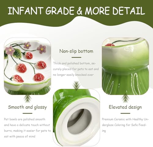 Ceramic Strawberry Elevated Cat Bowls, Tilted Raised Pet Dish for Anti Vomit, Spine Protection, Whisker Friendly - Excellent Raised Food and Water Bowl for Indoor Cats, Flat-Faced Cats (Green) - Image 3