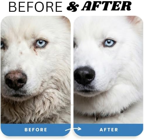(1 Gallon) Dog Whitening Shampoo for White Dogs, Purple Dog Shampoo Whitening for Dogs White Coat, Blueberry Facial, para Perros Blancos - Image 2
