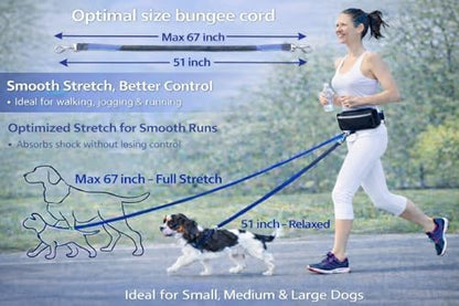 Hands Free Dog Leash with Waist Belt & Large Zipper Pouch, Waist Leash for Dog Walking, Running & Hiking, Reflective Stitching & Dual Padded Handles, Ideal for Medium to Large Dogs (Black Teal) - Image 4