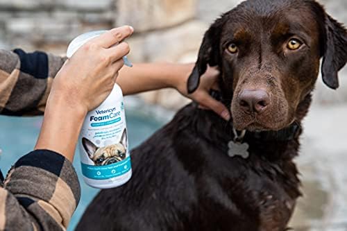Vetericyn FoamCare Dog Shampoo and Conditioner - Instant Foaming, Spray-On Hypoallergenic Shampoo, Plant-Based Formula for Dogs and Cats. 16 Ounce - Image 2