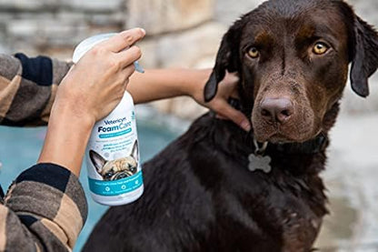 Vetericyn FoamCare Dog Shampoo and Conditioner - Instant Foaming, Spray-On Hypoallergenic Shampoo, Plant-Based Formula for Dogs and Cats. 16 Ounce - Image 2