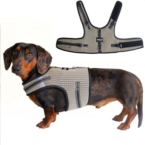 Mini Dachshund Harness – No Armpit Rub, Escape Proof, Reflective, No Pull Vest-Style Dachshunds Harness,Breathable Mesh Dog Harness (Khaki, M: Chest 42-52cm (16.5"-20.5")) by Unknown