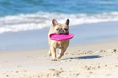 PROJECT HIVE ·PET COMPANY· Dog disc - Great for Fetch - Includes a Lick mat on Back - Floats in Water, Smooth Glide - Made in The USA (Wild Berry) - Image 4