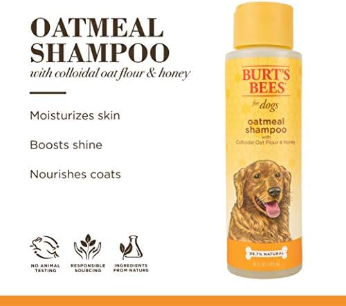 Burt's Bees for Dogs Natural Oatmeal Dog Shampoo | With Colloidal Oat Flour & Honey | Cruelty Free, Sulfate & Paraben Free, pH Balanced for Dogs - Made in USA, 16 Oz - Pack of 6 - Image 5
