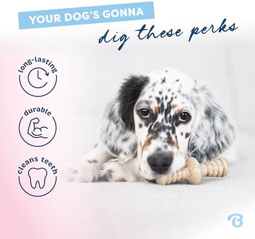 Benebone Puppy 2-Pack Maplestick/Zaggler Dog Chew Toys, Dog Bones, Tiny - Image 3