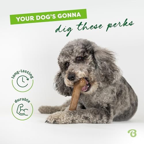 Benebone Bone Dog Chew Toy for Aggressive Chewers, Real Bacon, Large - Image 3