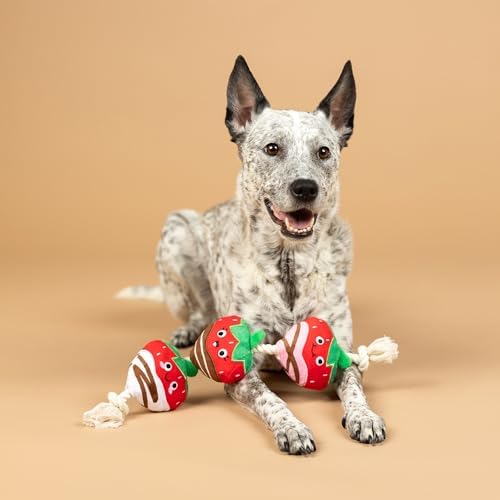 Fringe Studio Plush Dog Toy with Rope, Covered with Love, Petshop Collection (314495) - Image 3