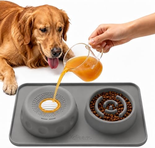 2 in 1 Silicone Slow Feeder Dog Bowl & Lick Bowl,Pet Feeding Bowl by koieam