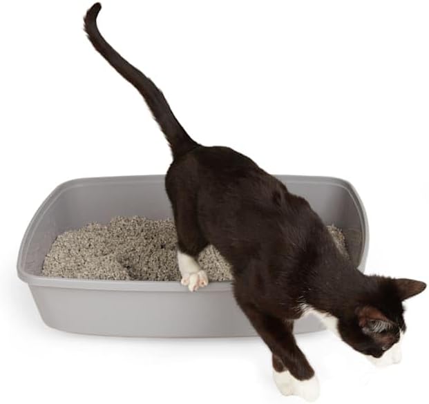 So Phresh Open Cat Litter Box Grey X-Large 22.4" L X 16.9" W X 4.3" H