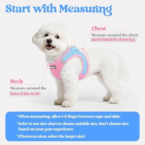 rabbitgoo Dog Harness Medium Sized and Leash Set, Step-in Puppy Pet Vest - Image 2