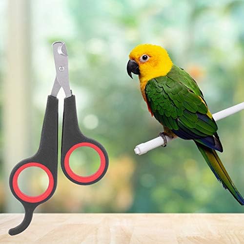 AYNEFY Bird Nail Clipper, Stainless Steel Bird Nail Trimmer Parrot Nail Scissors Pet Bird Nail Grooming Tool for Dogs Cat Rabbits and Birds - Image 2