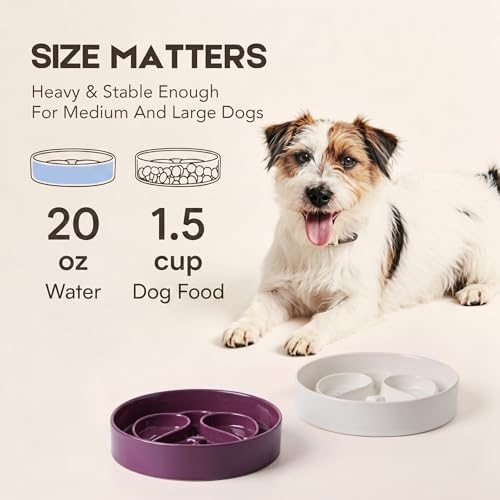 Ceramic Slow Feeder Dog Bowl, 8” Dog Bowls for Medium & Large Breed, White - Image 2