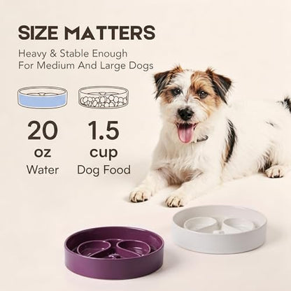 Ceramic Slow Feeder Dog Bowl, 8” Dog Bowls for Medium & Large Breed, White - Image 2