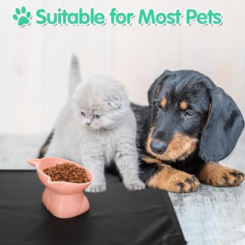 3 Pcs Raised Cat Bowl 15° Elevated Cat Food Bowl Tilted Cats Bowls - Image 5