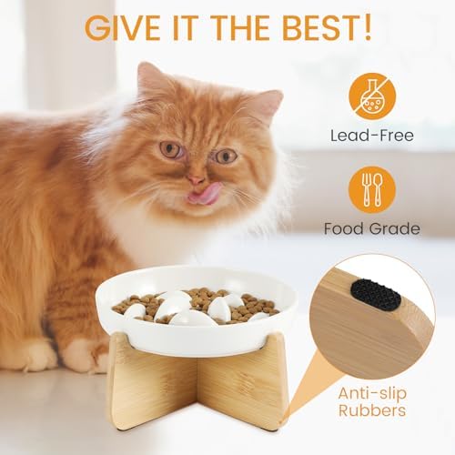 PETTOM Slow Feeder Cat Bowl with Stand, Ceramic Slow Eating Cat Bowl with Higher Edges Fish Pool Design Elevated Food Bowls for Dry and Wet Food Anti-Vomiting Puzzle Feeder for Healthy Eating Diet - Image 6