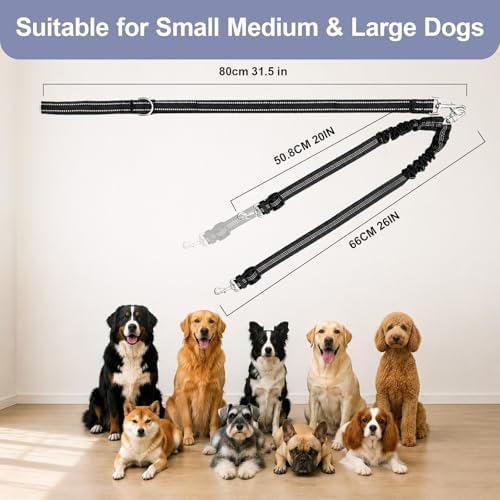 Double Dog Leash Padded Handle 360°Swivel No Tangle Dual Leash for Two Dogs - Image 7