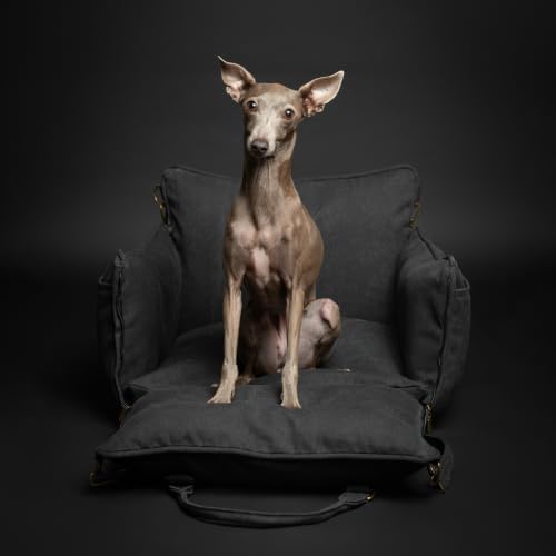 NOAH & PAW Small Dog Car Seat for Small Medium Pets with Harness Clip, 4X Safety Feature, Washable, Waterproof Dog Seat for Car, Orthopedic Foam Wrapped with Plush, Canvas Material - Image 6
