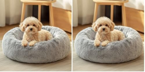 JOLLYVOGUE Small Dog Bed, Calming Dog Beds for Small Dogs & Indoor Cats - 20 Inches Donut Washable Cat Bed for Kittens & Puppies, Round Fluffy Plush Faux Fur Pet Beds(Smoke Grey) (Pack of 2) by JOLLYVOGUE