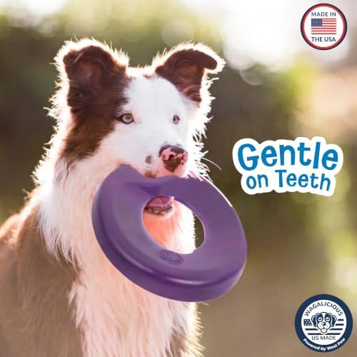 Airbound Flying Disc Dog Toy - Safe, Floating, Fetch - Grape - - Image 5