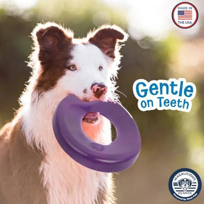 Airbound Flying Disc Dog Toy - Safe, Floating, Fetch - Grape - - Image 5