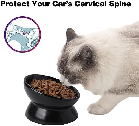 Elevated Ceramic Cat Bowl, 15° Tilted Raised Food & Water Dishes, Anti-Vomiting & Neck Protection Pet Feeder for Kittens, Small Dogs (5.2", Black, 2pc Set) - Image 3
