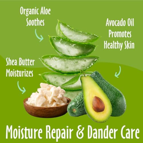 earthbath Ultra-Moisturizing Shea Butter Shampoo, Vegan, 16 Oz (1 Pack) - Image 2