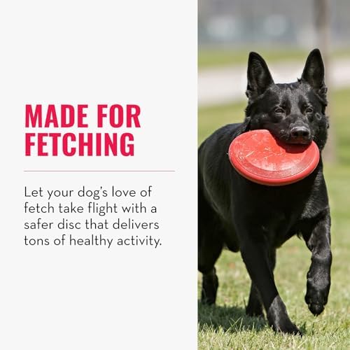 KONG Flyer, Natural Rubber Flying Disc Fetch Toy, for Small Dogs - Image 4