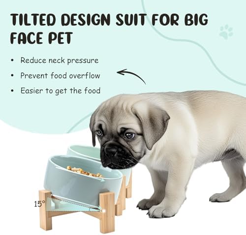 SPUNKYJUNKY 15° Slanted Ceramic Dog and Cat Bowl with Wooden Stand, Tilted Bulldog Food and Water Bowl No Slip Non-Spill for Cats Medium Dogs Big Face Pets 13.5 OZ (1.7 Cups, Morandi Green × 2) - Image 2