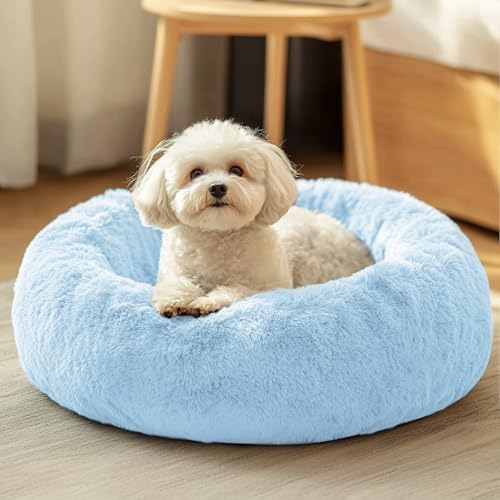 JOLLYVOGUE Dog & Cat Bed, Calming Anti-Anxiety Pet Bed for Small Dogs, Fluffy Donut Cushion for Small and Medium Pets (20") by JOLLYVOGUE